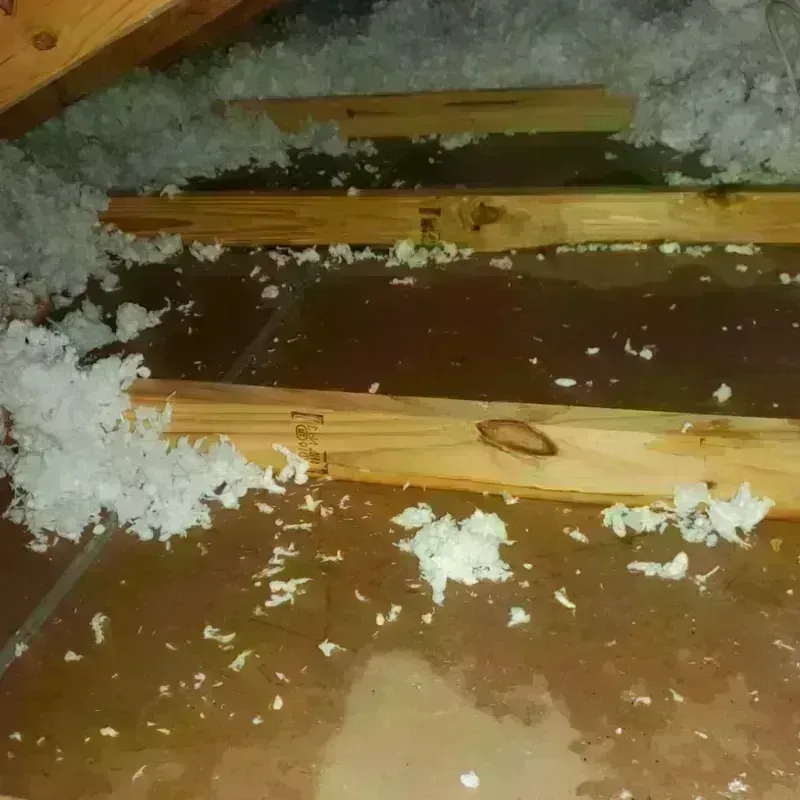 Attic Water Damage in Williston, VT